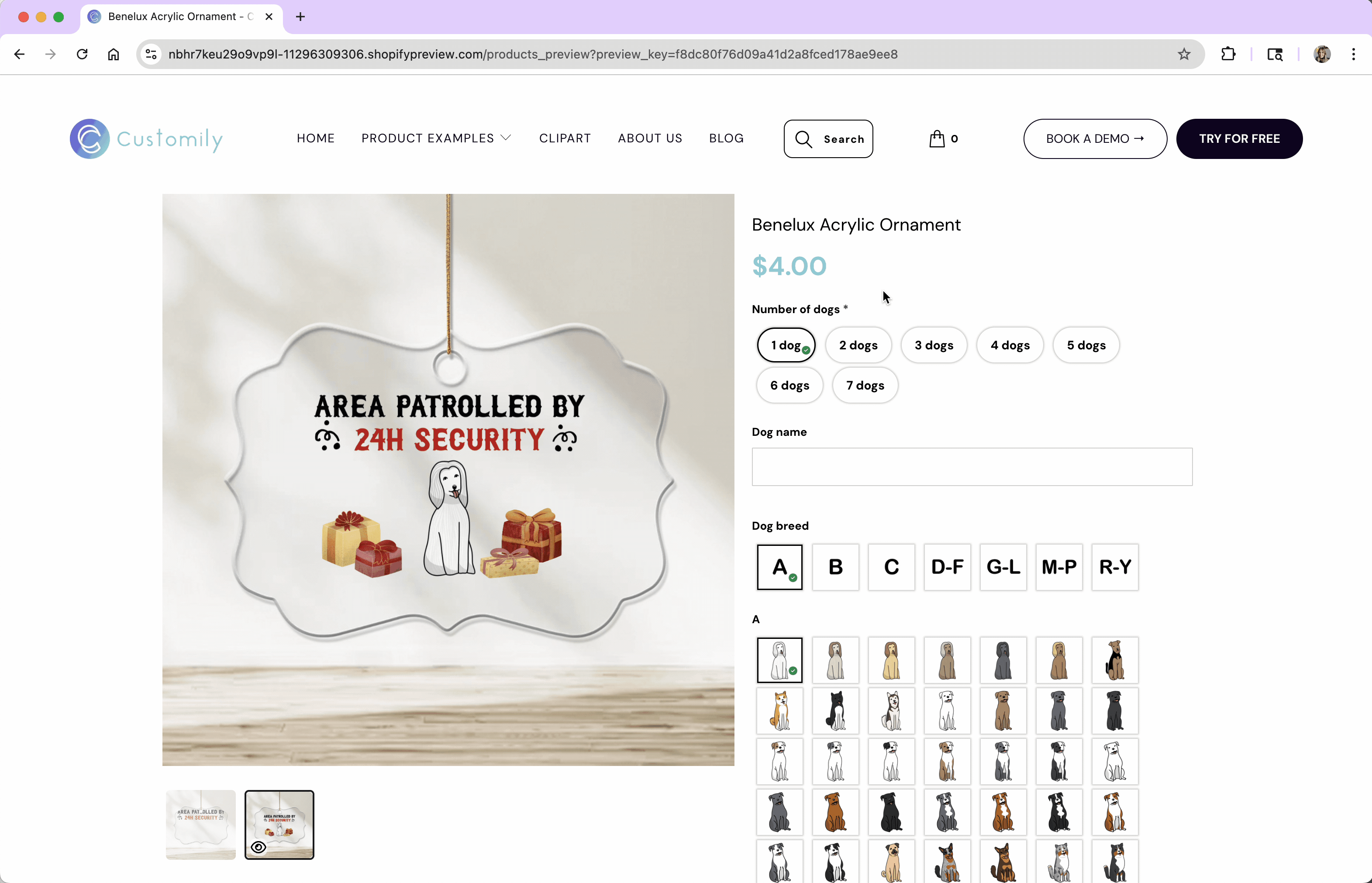 2025-07-25 10.13.41.gif